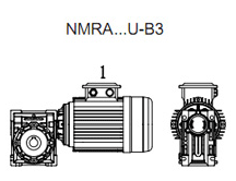 B3