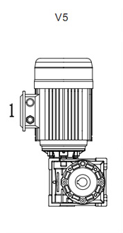 V5
