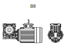 B8