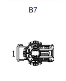 B7