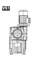 VS1